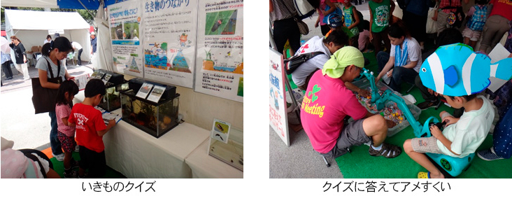 いきものクイズ、飴すくい