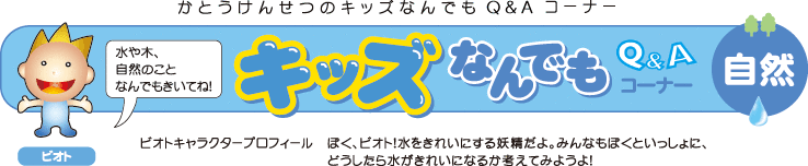 �L�b�Y�Ȃ�ł�Q&A�R�[�i�[�@�r�I�g�i���R�j