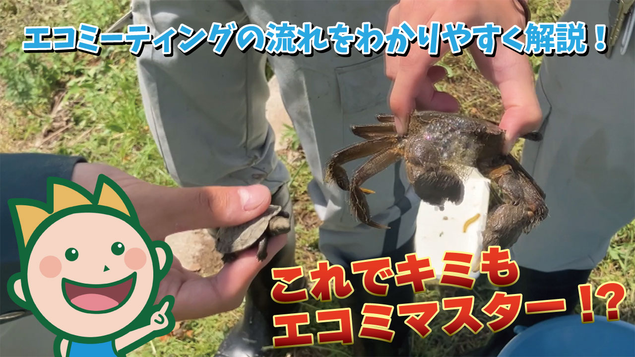 エコミーティングの流れをわかりやすく解説!これでキミもエコミマスター!? 2025年5月