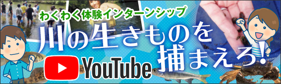 水辺の生きものを捕まえろ！